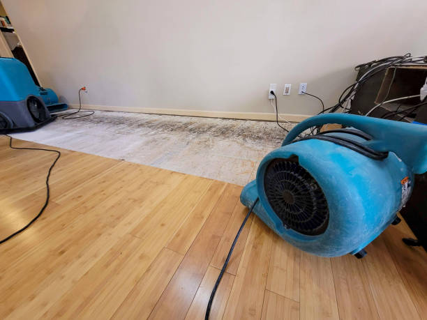 Professional Basement Flood Cleanup technician working in Calhoun, GA